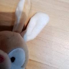 Knuffel Konijntje, as reported by Beekse Bergen Resorts en Hotel using iLost