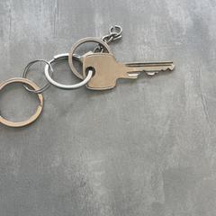 Kľúč, ako bolo nahlásené RRReis Arriva Achterhoek-Rivierenland pomocou iLost