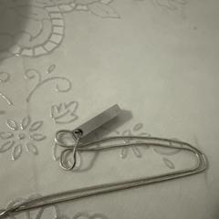 zilverkleurige ketting met hangertje+data erop, segons s'ha informat a iLost