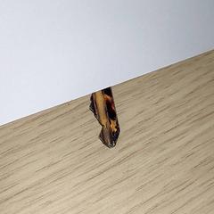 Nøkkel, som rapportert av Centraal magazijn ved bruk av iLost