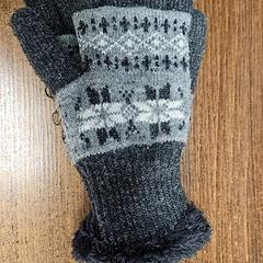 장갑, iLost를 사용하여 Pathé Leeuwarden에 보고됨