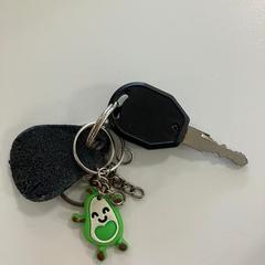 鍵 がiLostで Gemeente Ede によって報告されました