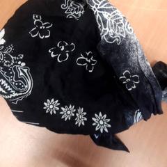 Skjerf, som rapportert av Grand Hotel Amrath Kurhaus ved bruk av iLost