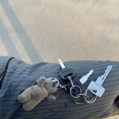 Sleutels / sleutel bos, som rapportert til iLost