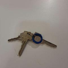 Nøkkelring, som rapportert av Gemeente Noordwijk ved bruk av iLost