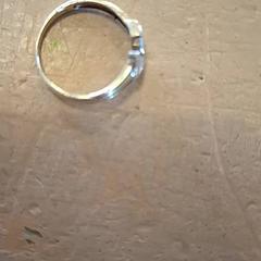 Anel, segundo informou Avonturenboerderij Molenwaard usando iLost