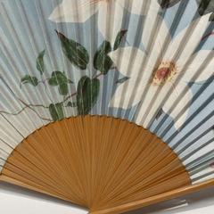 扇子, rapporterat av IKEA横浜 med iLost