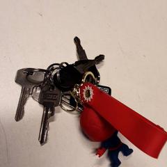 Sleutelbos, zoals gemeld door Qbuzz ZHN met iLost