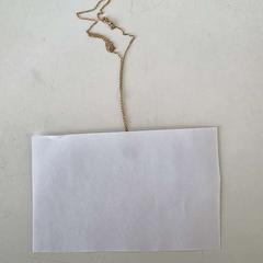 Goudkleurige hanger + bedeltje, jak nahlášeno Haaglanden Medisch Centrum pomocí iLost