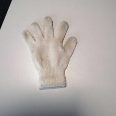 장갑, iLost를 사용하여 Twisto에 보고됨