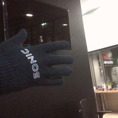 Gloves dark blue, as reported by MEININGER Hotel Vienna Downtown Franz using iLost