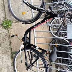 Bicicleta masculina excelsior, segundo informou Stadswerk072 usando iLost