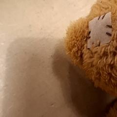 Knuffel, as reported by Avonturenboerderij Molenwaard using iLost