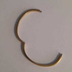 Bracelet, a été signalé par Dolfinarium utilisant iLost