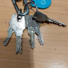 Sleutels Zilver sleutels, iLost를 사용하여 Gemeente Gooise Meren에 보고됨