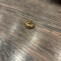 Kolczyk, zgłoszono przez WestCord Hotel Eindhoven przy użyciu iLost