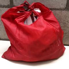 Taška, jak nahlášeno Arriva Oost-Brabant pomocí iLost