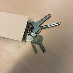 Klucze, zgłoszono przez RET przy użyciu iLost