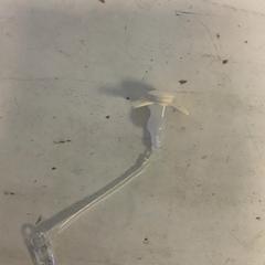 Pezón, ha sido reportado por Artis con iLost