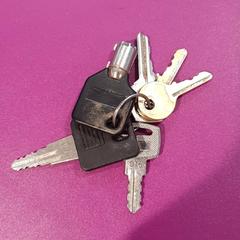 المفاتيح، كما تم الإبلاغ عنه بواسطة Gemeente Oost Gelre عبر iLost