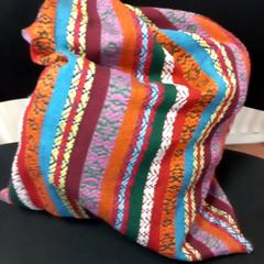 Bolsa, segundo informou Arriva Limburg Zuid usando iLost