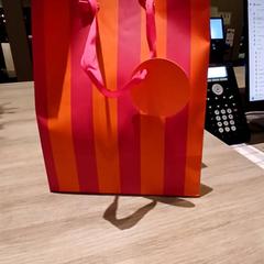 バッグ がiLostで Van der Valk Hotel Vianen によって報告されました