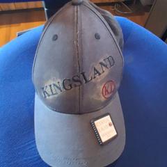 İLost kullanarak Familiepark Drievliet tarafından bildirildiği gibi Pet Grijs met Kingsland logo