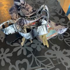 Clés, a été signalé par Blauwnet Zwolle utilisant iLost