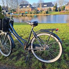 Fiets, iLost'a bildirildiği gibi