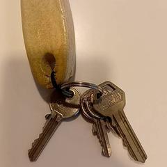 Sleutels, gemeldet von RAI Amsterdam über iLost