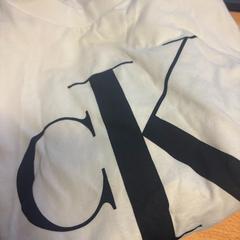 Teeshirt, iLost를 사용하여 The Dominican에 보고됨