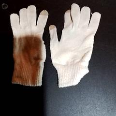 Handschoenen, zoals gemeld door Apenheul met iLost