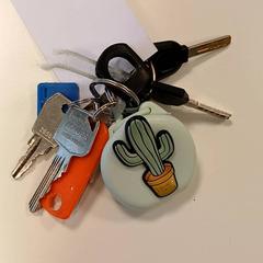 Sleutels, gemeldet von Centraal magazijn über iLost