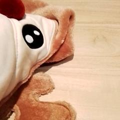 Onesie, gisa salatu by Beekse Bergen Resorts en Hotel iLost erabiliz