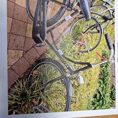 Bicikli Altra Zwart, amint azt Gemeente Roermond az iLost segítségével jelentette.