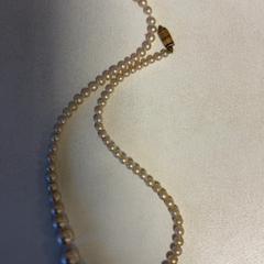 Necklace, as reported by Artis using iLost