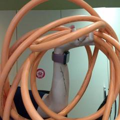 Kabel do ładowania Cable recharge, zgłoszono przez MEININGER Hotel Lyon Centre Berthelot przy użyciu iLost