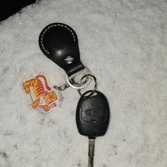 Autosleutel, iLost에 보고됨