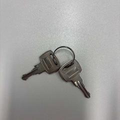 Sleuteltjes, gemeldet von Gemeente Zonhoven über iLost