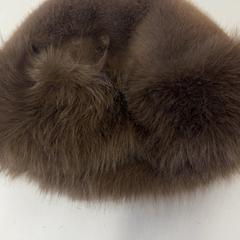 قبعة صغيرة، كما تم الإبلاغ عنه بواسطة Het Amsterdamse Winterparadijs عبر iLost