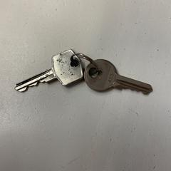 Sleutels, zgłoszono przez DGTL Amsterdam przy użyciu iLost