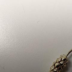 Sieraden   - Oorring, iLost를 사용하여 Centraal magazijn에 보고됨