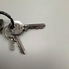 Sleutel, zoals gemeld door ilévia met iLost