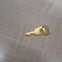 İLost kullanarak IKEA Dijon tarafından bildirildiği gibi Anahtar