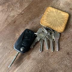 Sleutelbos, come riportato a iLost