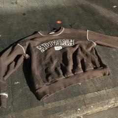 Hoodie, segundo informou De Heeren van Aemstel usando iLost