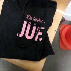 Bossa Zwart, segons ha informat Connexxion Hoeksche Waard Goeree Overflakkee mitjançant iLost