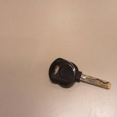 İLost kullanarak LUMC tarafından bildirildiği gibi Anahtar