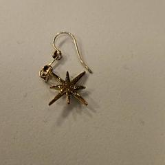 İLost kullanarak Vrije Universiteit Amsterdam tarafından bildirildiği gibi Küpe