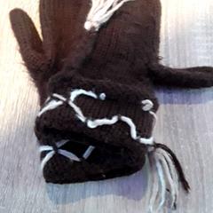 Vantar Bruin, rapporterat av EBS Tramplein med iLost